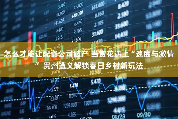 怎么才能让配资公司破产 当赏花遇上“速度与激情” 贵州遵义解锁春日乡村新玩法