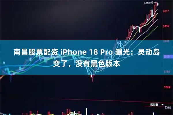 南昌股票配资 iPhone 18 Pro 曝光：灵动岛变了，没有黑色版本