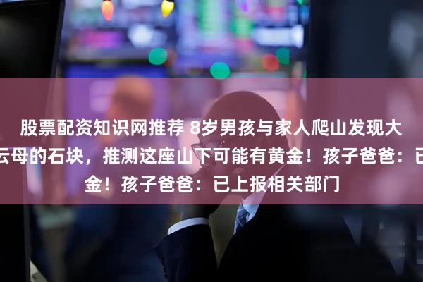 股票配资知识网推荐 8岁男孩与家人爬山发现大片问荆草和含云母的石块，推测这座山下可能有黄金！孩子爸爸：已上报相关部门